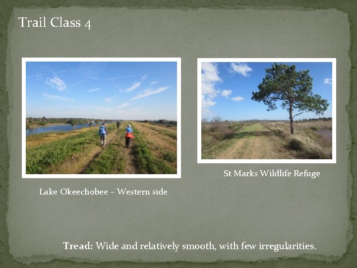 Trail Class 4 St Marks Wildlife Refuge Lake Okeechobee – Western side Tread: Wide