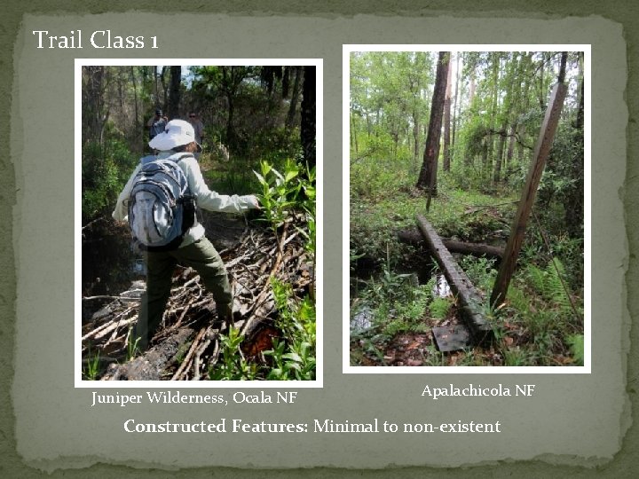 Trail Class 1 Juniper Wilderness, Ocala NF Apalachicola NF Constructed Features: Minimal to non-existent