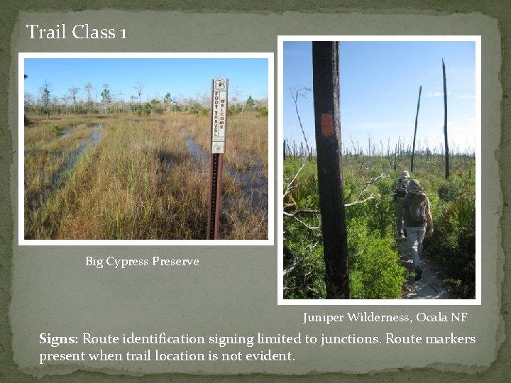 Trail Class 1 Big Cypress Preserve Juniper Wilderness, Ocala NF Signs: Route identification signing
