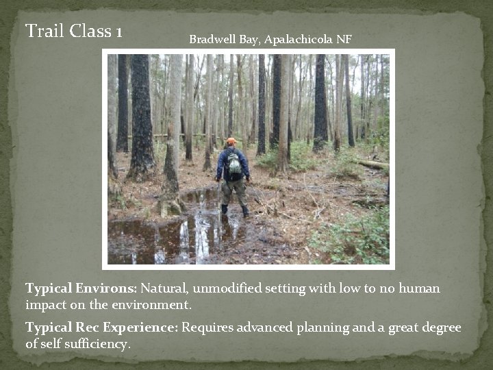 Trail Class 1 Bradwell Bay, Apalachicola NF Typical Environs: Natural, unmodified setting with low