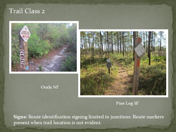 Trail Class 2 Ocala NF Pine Log SF Signs: Route identification signing limited to