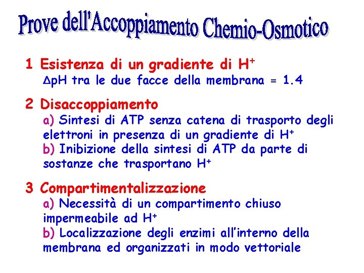 1 Esistenza di un gradiente di H+ Δp. H tra le due facce della