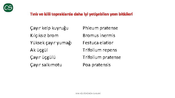 Tınlı ve killi topraklarda daha iyi yetişebilen yem bitkileri Çayır kelp kuyruğu Kılçıksız brom