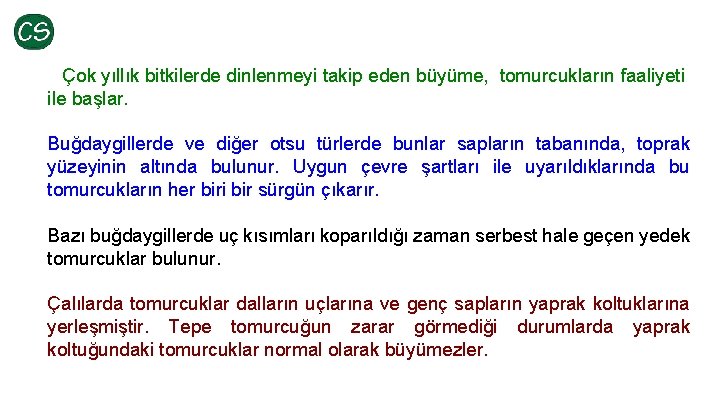 Çok yıllık bitkilerde dinlenmeyi takip eden büyüme, tomurcukların faaliyeti ile başlar. Buğdaygillerde ve diğer