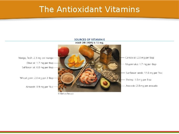 The Antioxidant Vitamins The Antioxidant Vitamins
