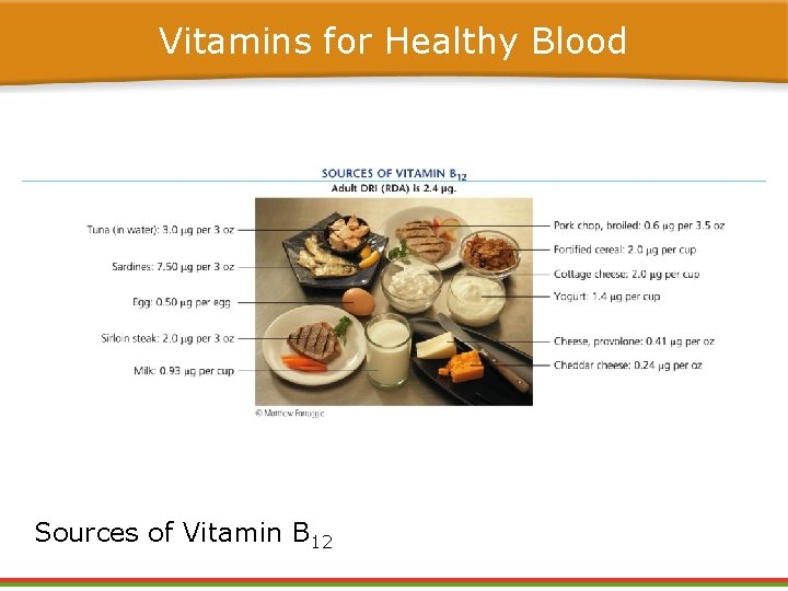 Vitamins for Healthy Blood Sources of Vitamin B 12 Vitamins for Healthy Blood Sources of Vitamin B 12
