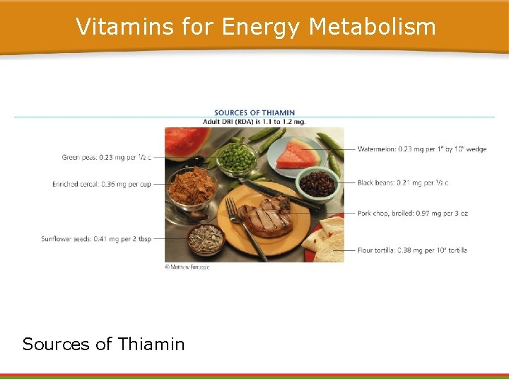 Vitamins for Energy Metabolism Sources of Thiamin Vitamins for Energy Metabolism Sources of Thiamin
