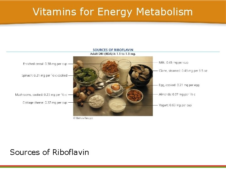 Vitamins for Energy Metabolism Sources of Riboflavin Vitamins for Energy Metabolism Sources of Riboflavin