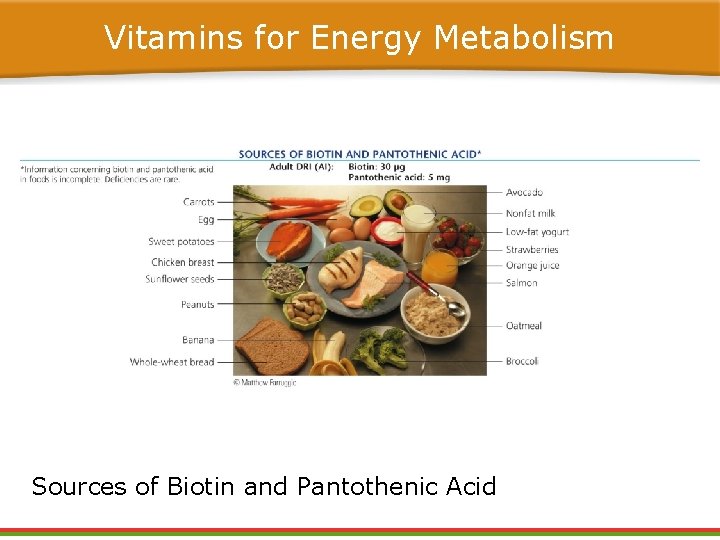 Vitamins for Energy Metabolism Sources of Biotin and Pantothenic Acid Vitamins for Energy Metabolism Sources of Biotin and Pantothenic Acid