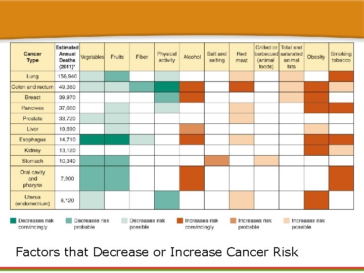 Factors that Decrease or Increase Cancer Risk Factors that Decrease or Increase Cancer Risk