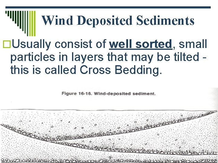 Wind Deposited Sediments o. Usually consist of well sorted, small particles in layers that