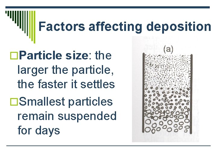 Factors affecting deposition o. Particle size: the larger the particle, the faster it settles