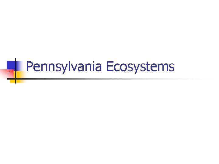 Pennsylvania Ecosystems 