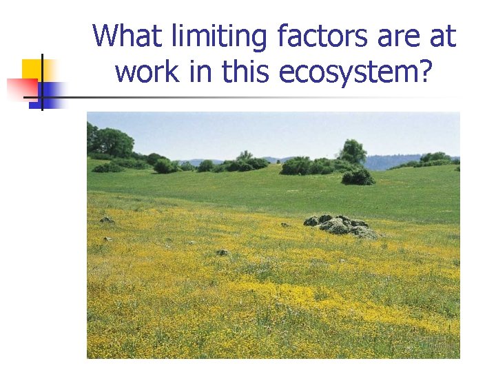 What limiting factors are at work in this ecosystem? 