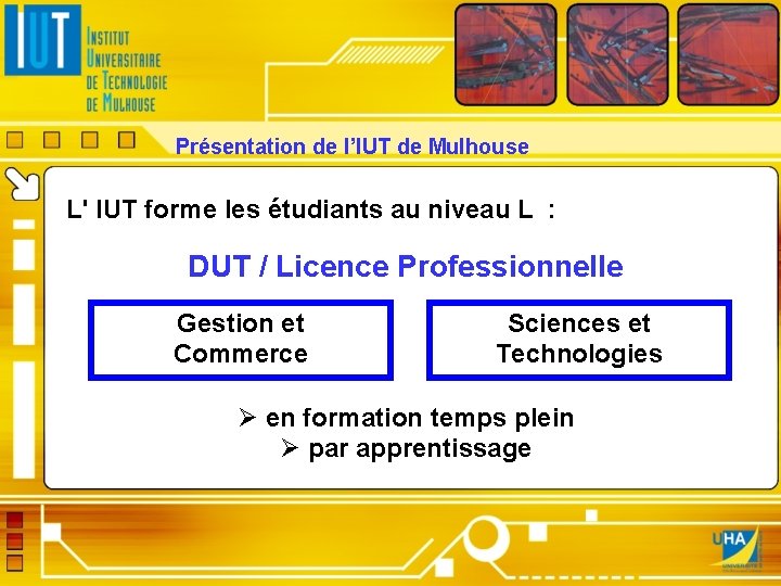 Présentation de l’IUT de Mulhouse L' IUT forme les étudiants au niveau L :