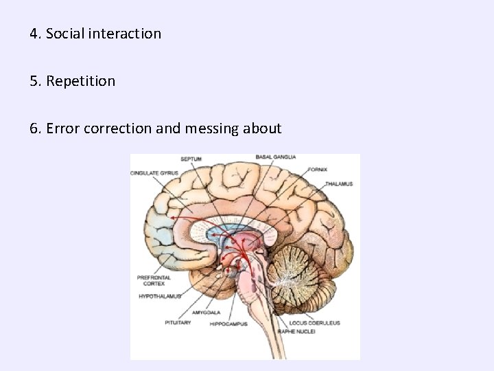 4. Social interaction 5. Repetition 6. Error correction and messing about 