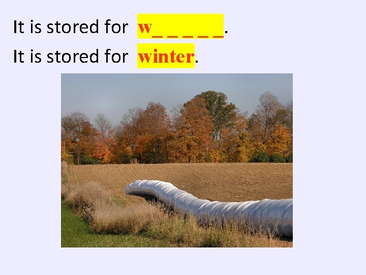 It is stored for w_ _ _. It is stored for winter. 