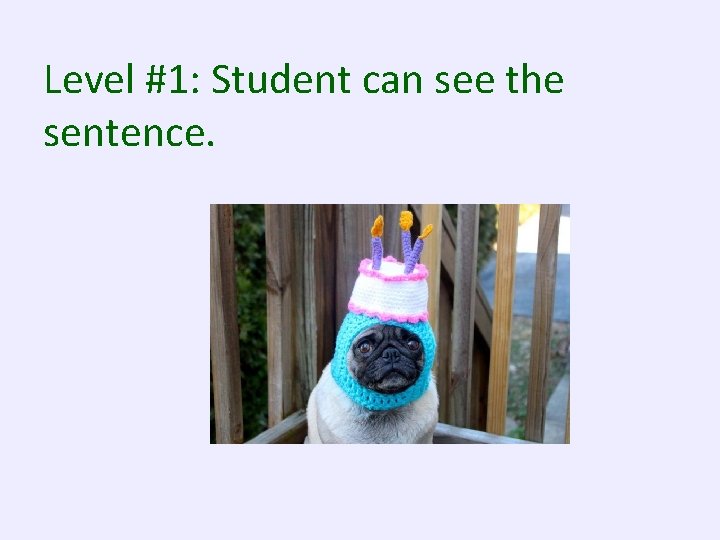 Level #1: Student can see the sentence. 