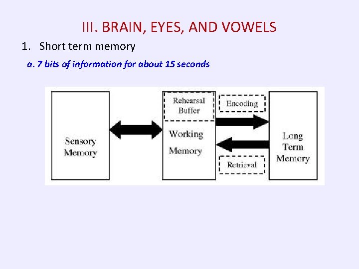 III. BRAIN, EYES, AND VOWELS 1. Short term memory a. 7 bits of information