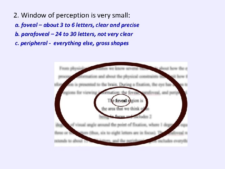 2. Window of perception is very small: a. foveal – about 3 to 6