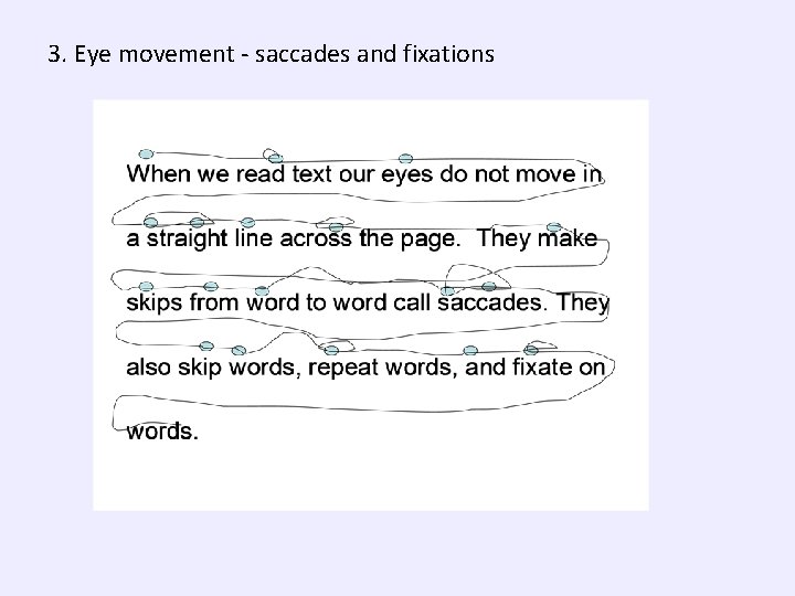 3. Eye movement - saccades and fixations 