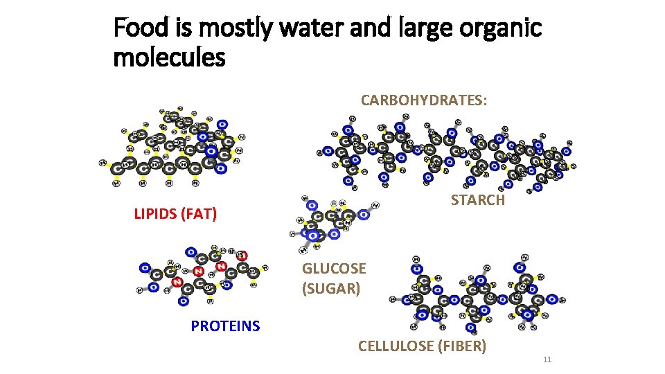 Food is mostly water and large organic molecules CARBOHYDRATES: STARCH LIPIDS (FAT) GLUCOSE (SUGAR)