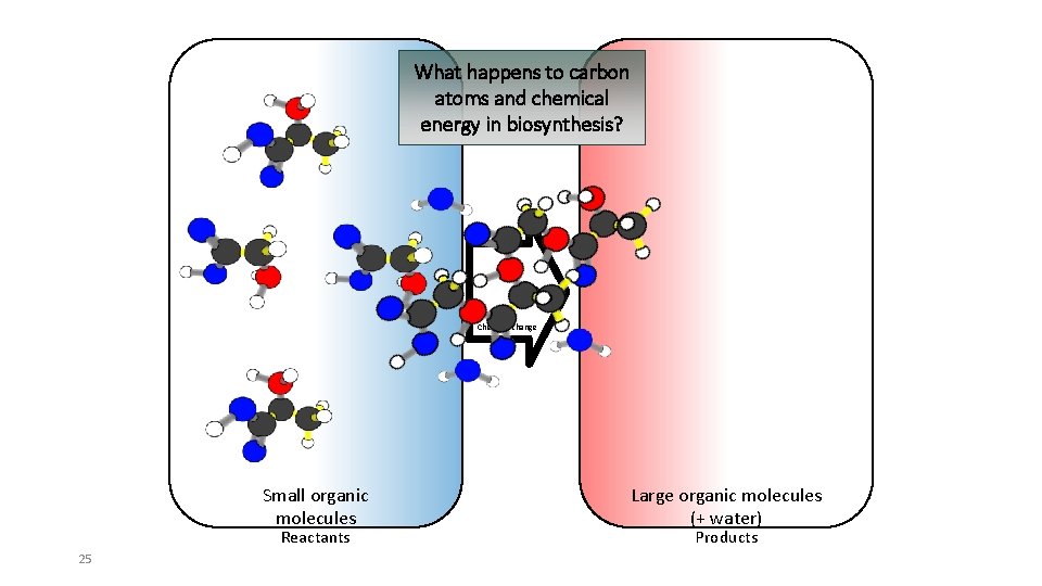 What happens to carbon atoms and chemical energy in biosynthesis? Chemical change Small organic