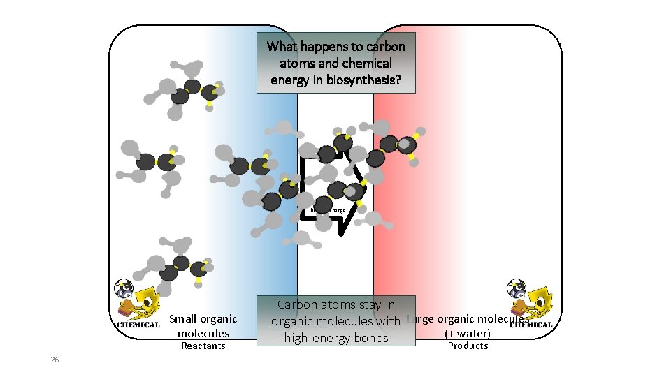 What happens to carbon atoms and chemical energy in biosynthesis? Chemical change Small organic