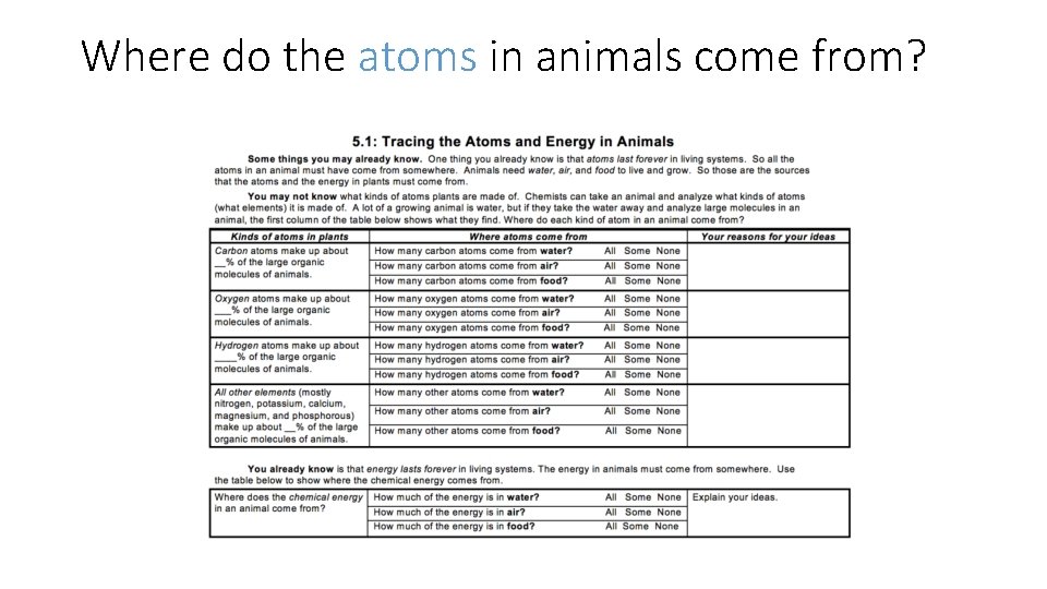 Where do the atoms in animals come from? 