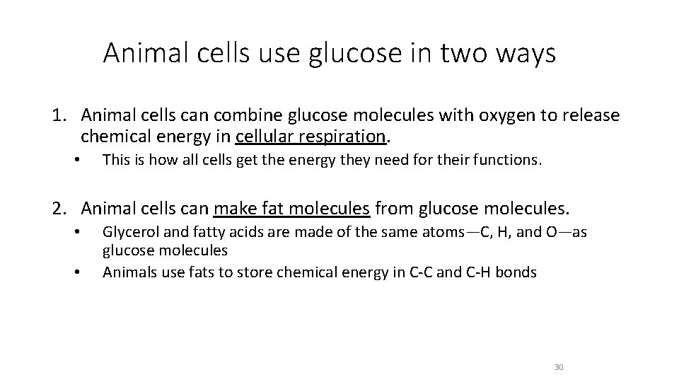 Animal cells use glucose in two ways 1. Animal cells can combine glucose molecules