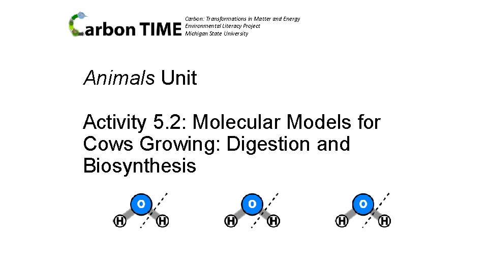 Carbon: Transformations in Matter and Energy Environmental Literacy Project Michigan State University Animals Unit