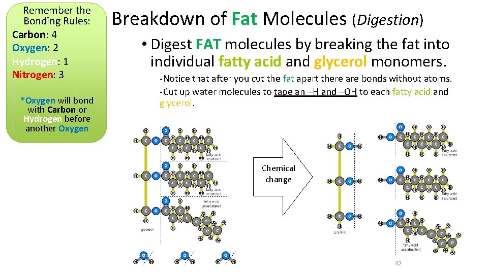 Remember the Bonding Rules: Carbon: 4 Oxygen: 2 Hydrogen: 1 Nitrogen: 3 *Oxygen will