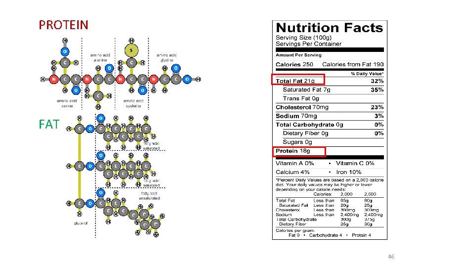 PROTEIN FAT 46 