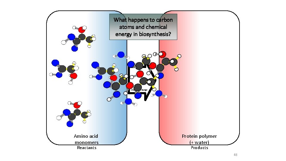 What happens to carbon atoms and chemical energy in biosynthesis? Chemical change Amino acid