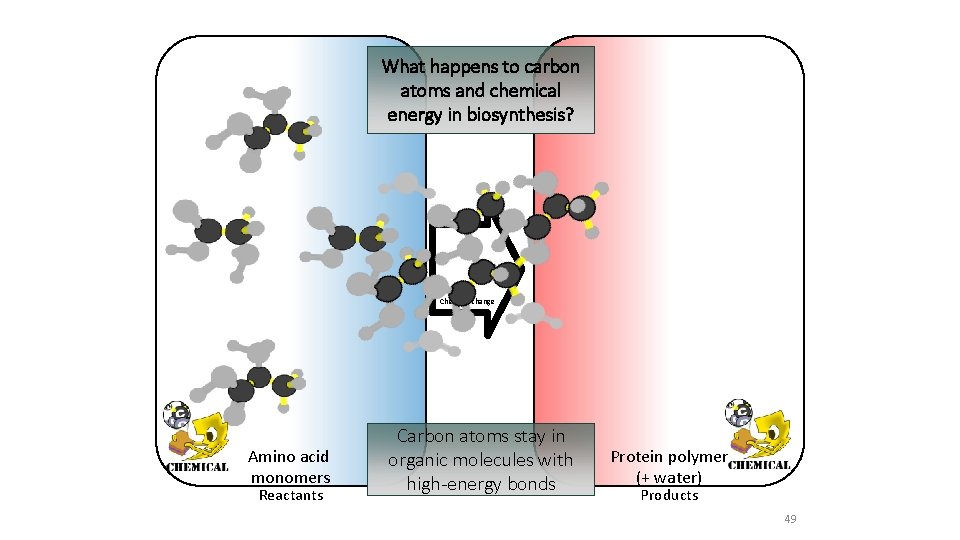 What happens to carbon atoms and chemical energy in biosynthesis? Chemical change Amino acid