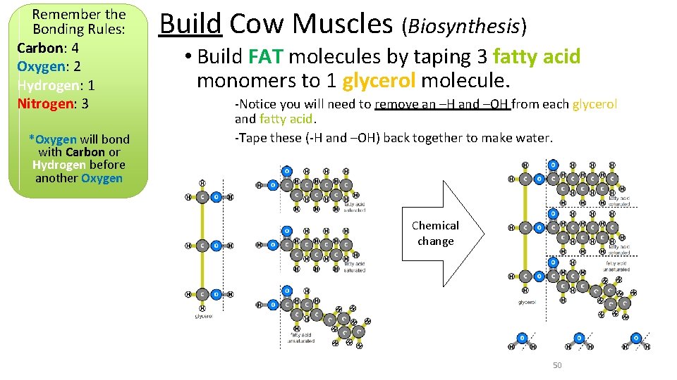 Remember the Bonding Rules: Carbon: 4 Oxygen: 2 Hydrogen: 1 Nitrogen: 3 *Oxygen will