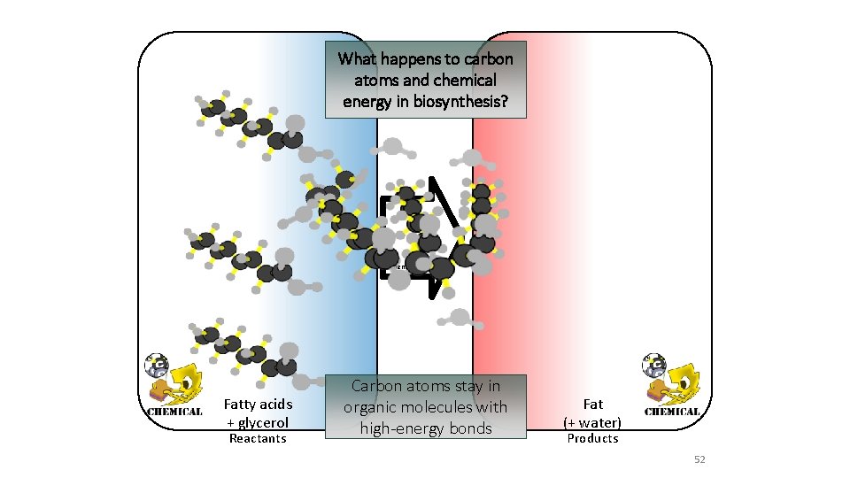 What happens to carbon atoms and chemical energy in biosynthesis? Chemical change Fatty acids