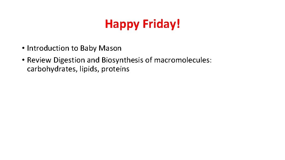 Happy Friday! • Introduction to Baby Mason • Review Digestion and Biosynthesis of macromolecules: