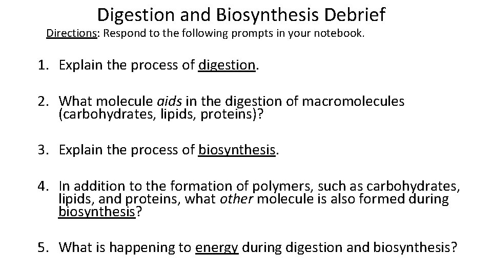 Digestion and Biosynthesis Debrief Directions: Respond to the following prompts in your notebook. 1.