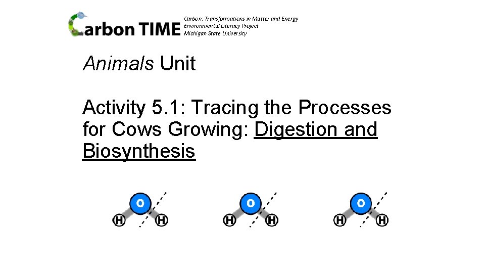 Carbon: Transformations in Matter and Energy Environmental Literacy Project Michigan State University Animals Unit