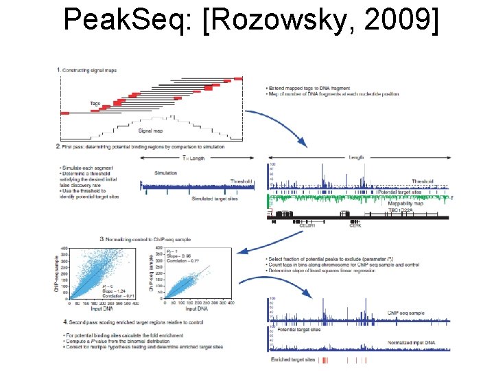 Peak. Seq: [Rozowsky, 2009] 