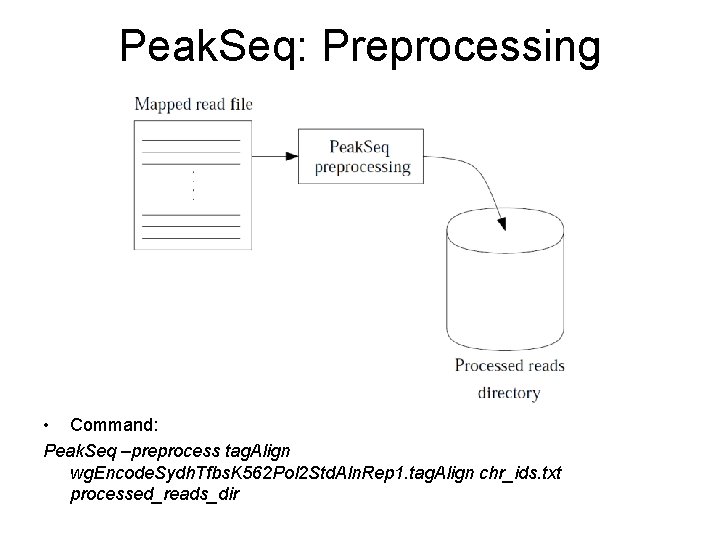 Peak. Seq: Preprocessing • Command: Peak. Seq –preprocess tag. Align wg. Encode. Sydh. Tfbs.