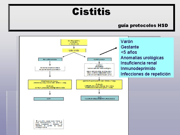Cistitis guía protocolos HSD Varón Gestante <5 años Anomalías urológicas Insuficiencia renal Inmunodeprimido Infecciones