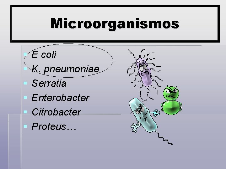 Microorganismos § § § E coli K. pneumoniae Serratia Enterobacter Citrobacter Proteus… 