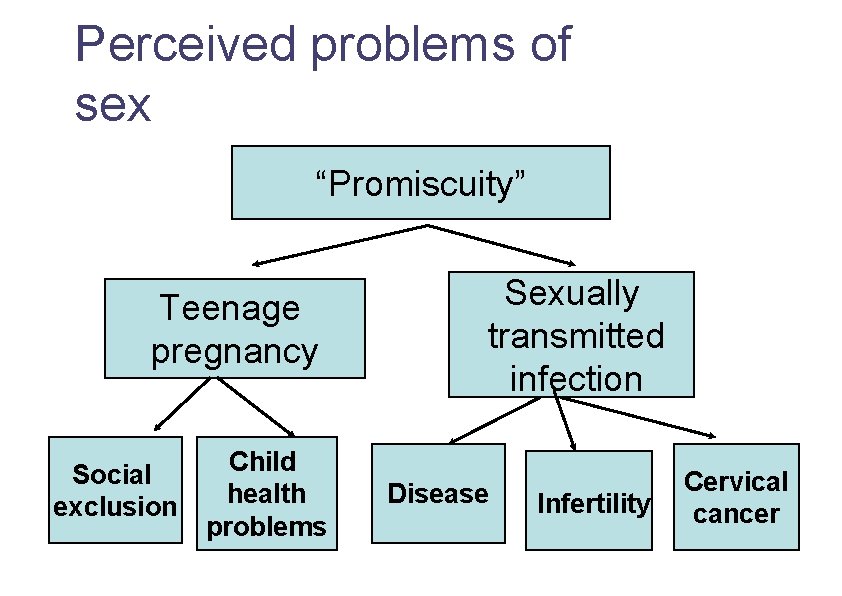 Perceived problems of sex “Promiscuity” Teenage pregnancy Social exclusion Child health problems Sexually transmitted