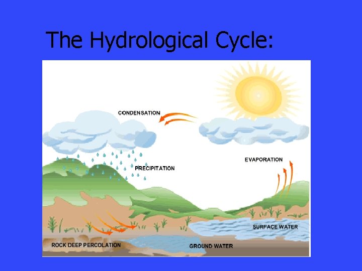 The Hydrological Cycle: The Hydrological Cycle: