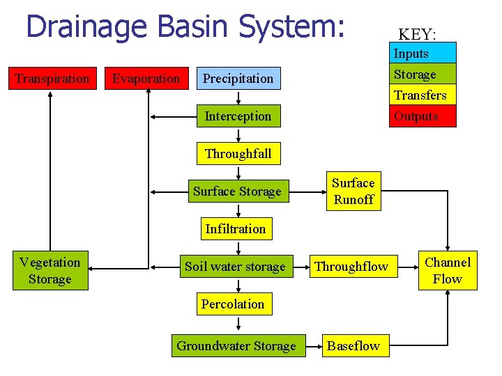 Drainage Basin System: Transpiration Evaporation KEY: Precipitation Inputs Storage Transfers Interception Outputs Throughfall Surface Drainage Basin System: Transpiration Evaporation KEY: Precipitation Inputs Storage Transfers Interception Outputs Throughfall Surface