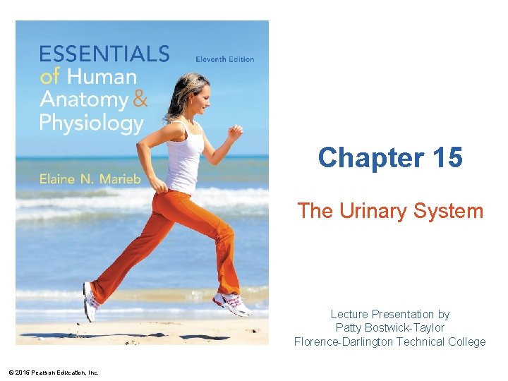 Chapter 15 The Urinary System Lecture Presentation by Patty Bostwick-Taylor Florence-Darlington Technical College ©