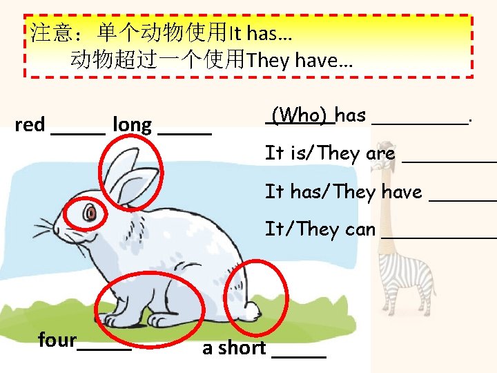 注意：单个动物使用It has… 动物超过一个使用They have… red _____ long _____ (Who) has ____. It is/They are