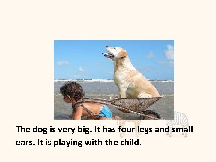 The dog is very big. It has four legs and small ears. It is
